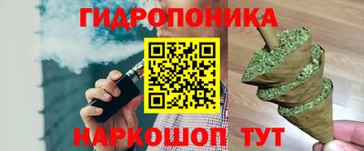 дживик Тверь
