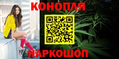 дживик Тверь