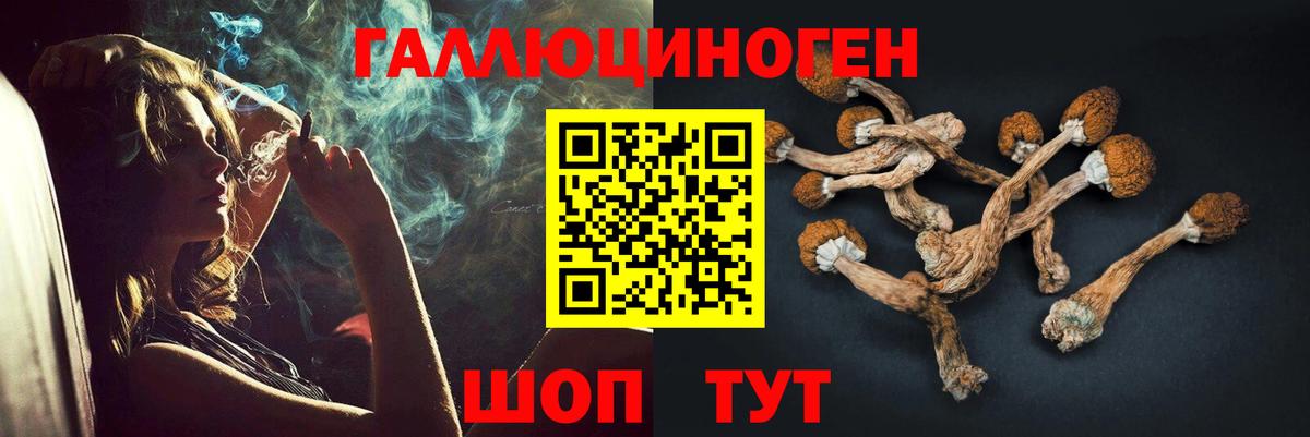 Псилоцибиновые грибы прущие грибы  Галлюциногенные грибы Psilocybe  Вход с VPN  Заринск 