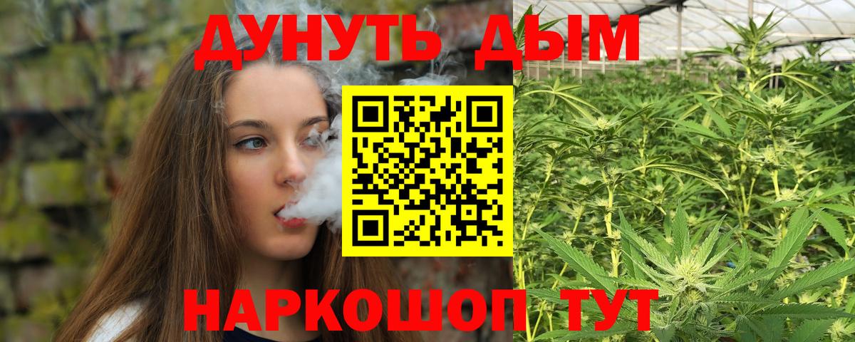 Шишки марихуана конопля  Марихуана VHQ  МАРИХУАНА конопля  Заринск  Вход с VPN 